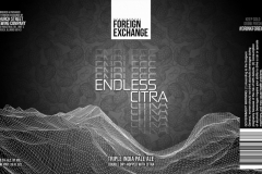 Foreign Exchange - Endless Citra