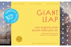 Ferndale Project - Giant Leap