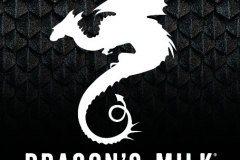 New Holland Brewing Co. - Dragon's Milk