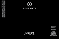 Adesanya Mead - Mashcat