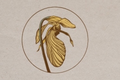 Speciation Artisan Ales - Genetic Drift
