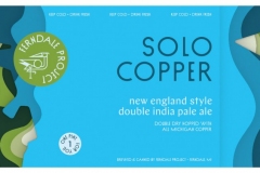 210105_SoloCopper_DNEIPA_OL