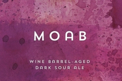 Moab - Wine Barrel-aged Dark Sour Ale