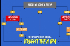 Bright Idea - Bright India Pale Ale