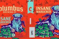 Insane Wanderer Volume X - 